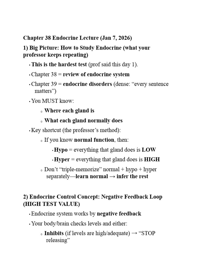 Chapter 38 Endocrine Lecture | PDF | Endocrine System | Pituitary Gland