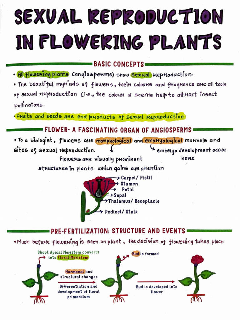 S. Reproduction in Flower Plants | PDF | Flowers | Pollination