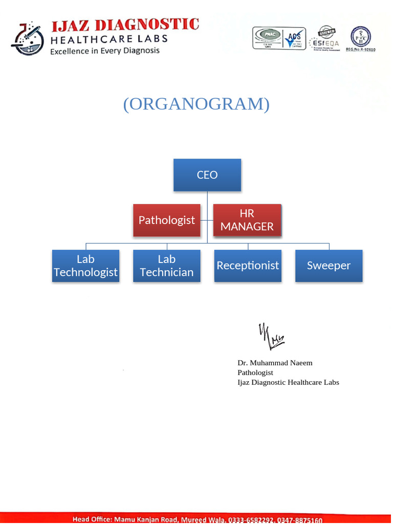 1 Organogram | PDF