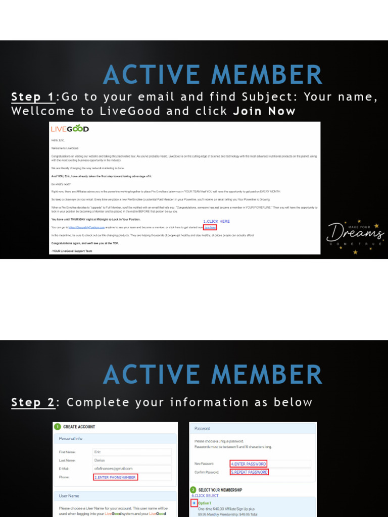 Active Member | PDF
