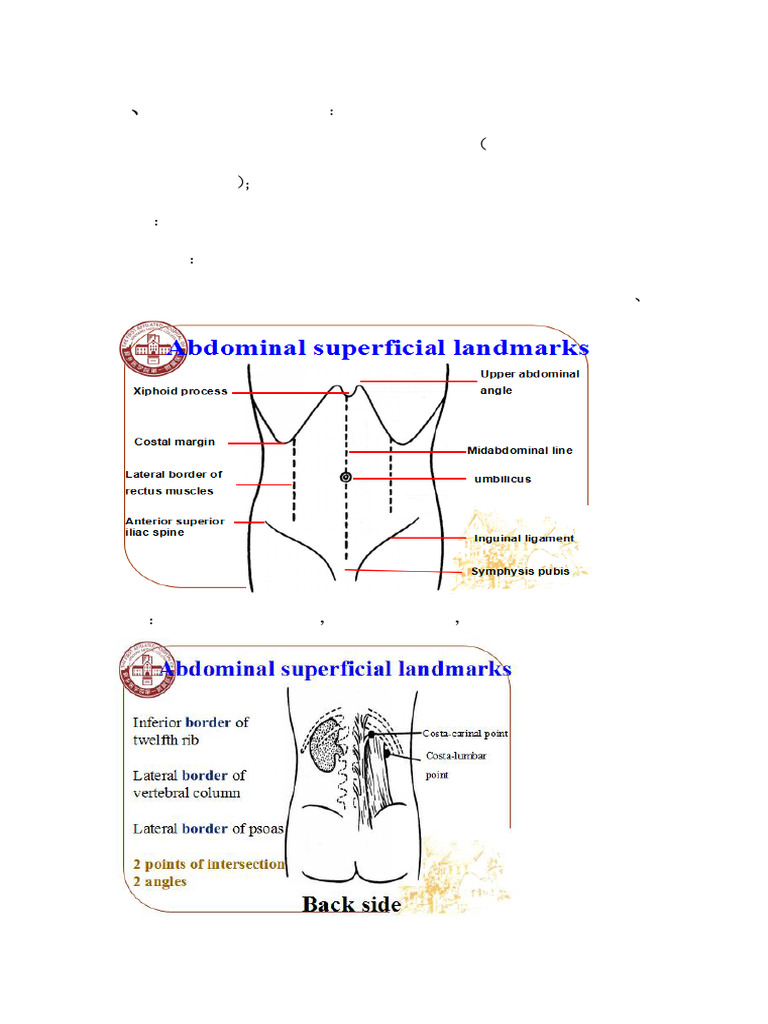 LAb Physical Examination of Abdomen 1 朱艳丽视听 | PDF | Abdomen ...