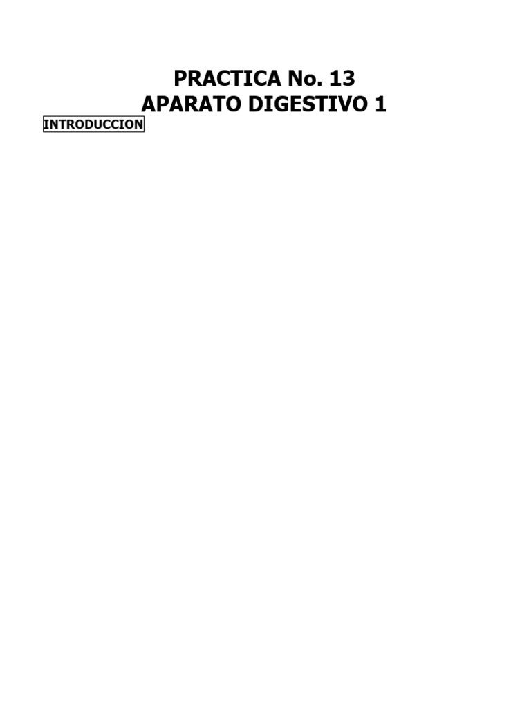 Práctica No.13, MMKR 2CM7 | PDF | Membrana mucosa | Digestión