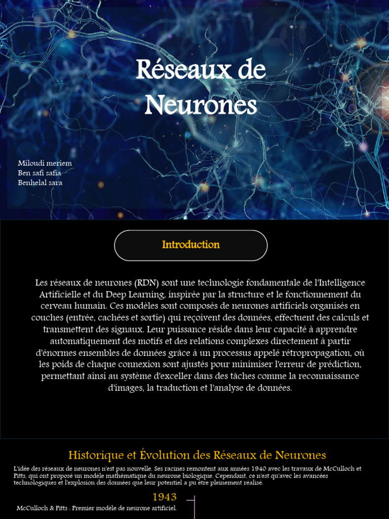 Reseaux de Neurones | PDF | Neurone | Neuroscience