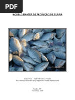Modelo Emater ProdUCAO DE  Tilapia