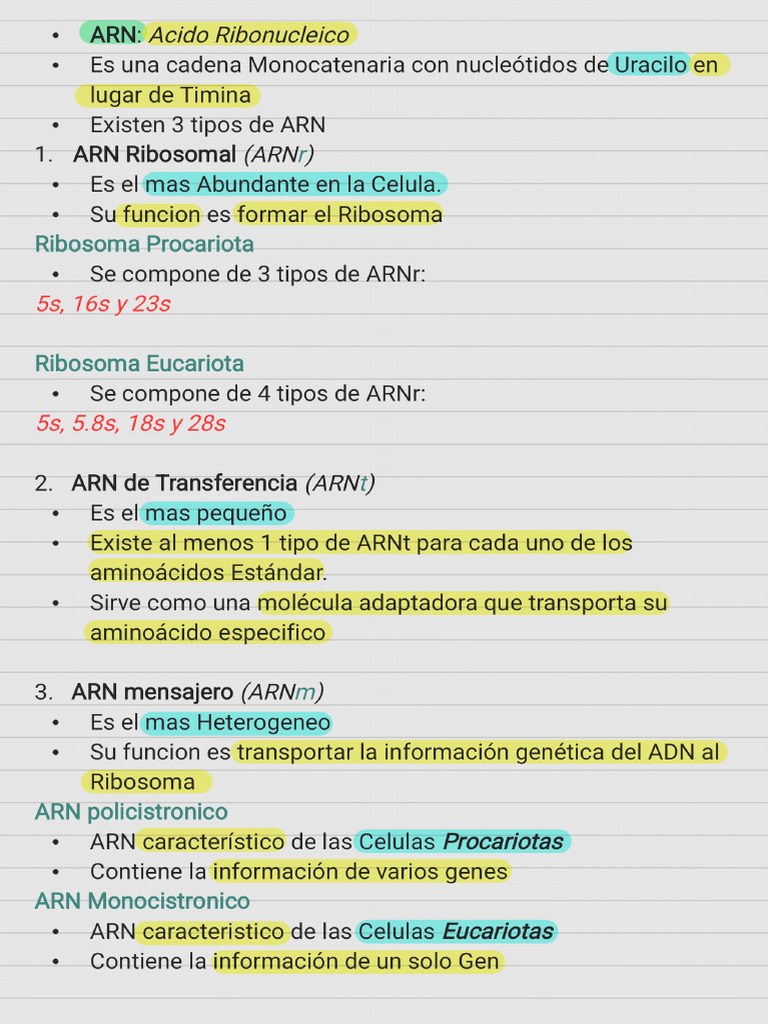 Arn | PDF