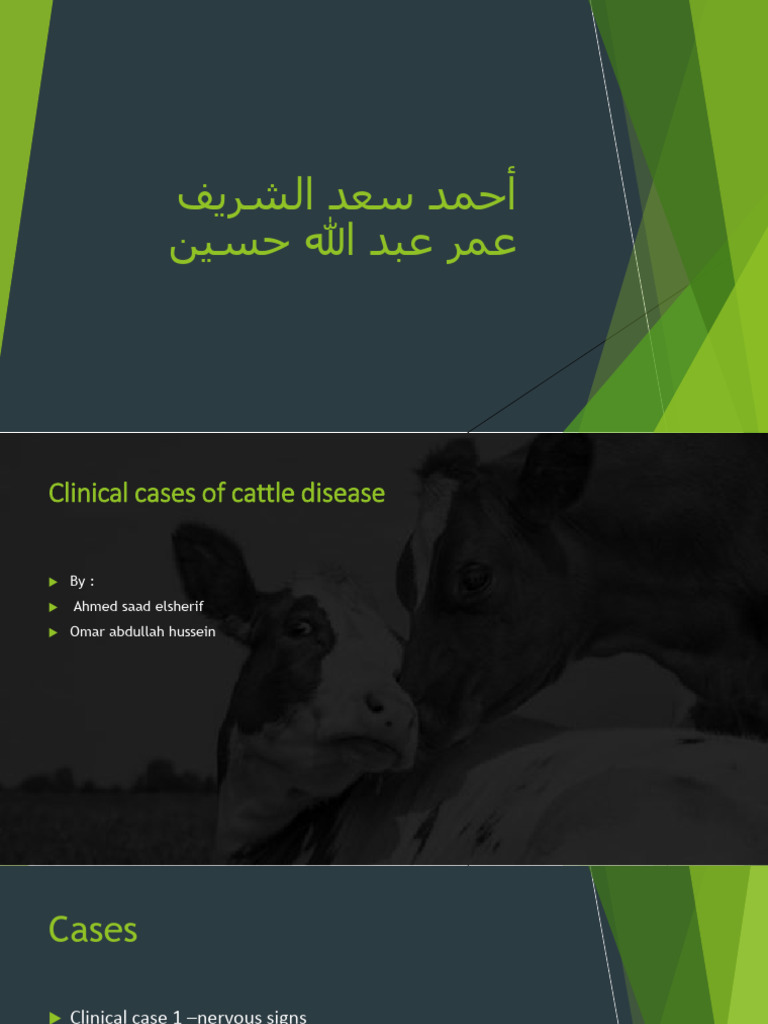 Clinical Cases of Cattle Disease | PDF | Human Diseases And Disorders ...