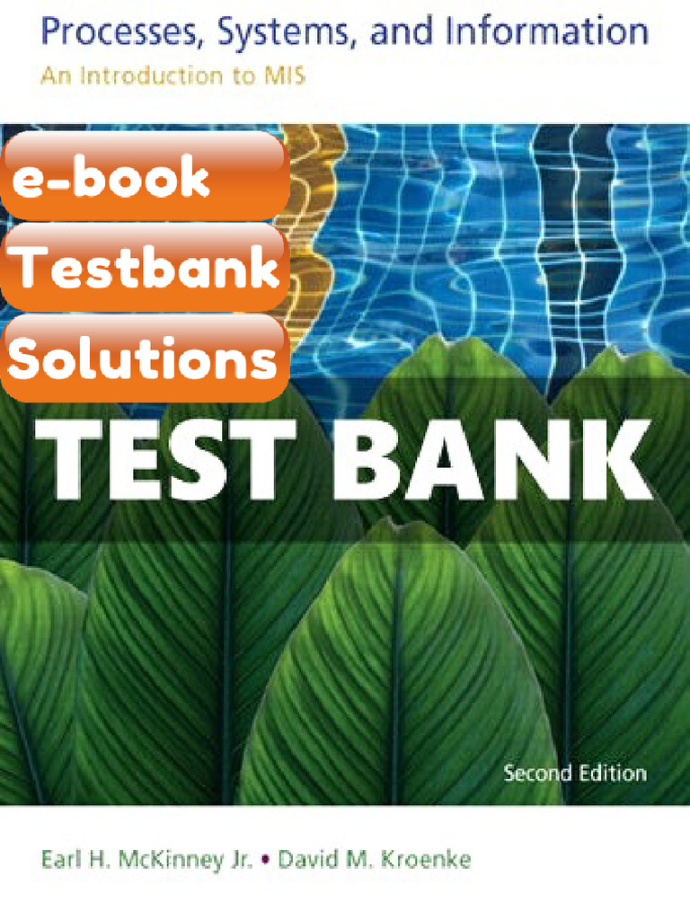Testbank Processes Systems and Information an Introduction to MIS 2 Ed ...