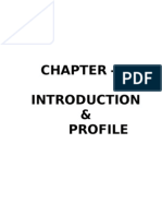 Chapter of Project
