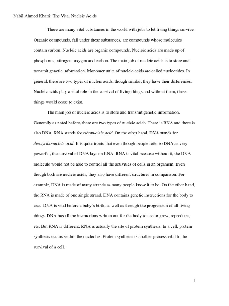 essay about dna