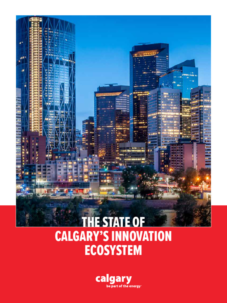 The State of Calgarys Innovation Ecosystem | PDF | Startup Company ...