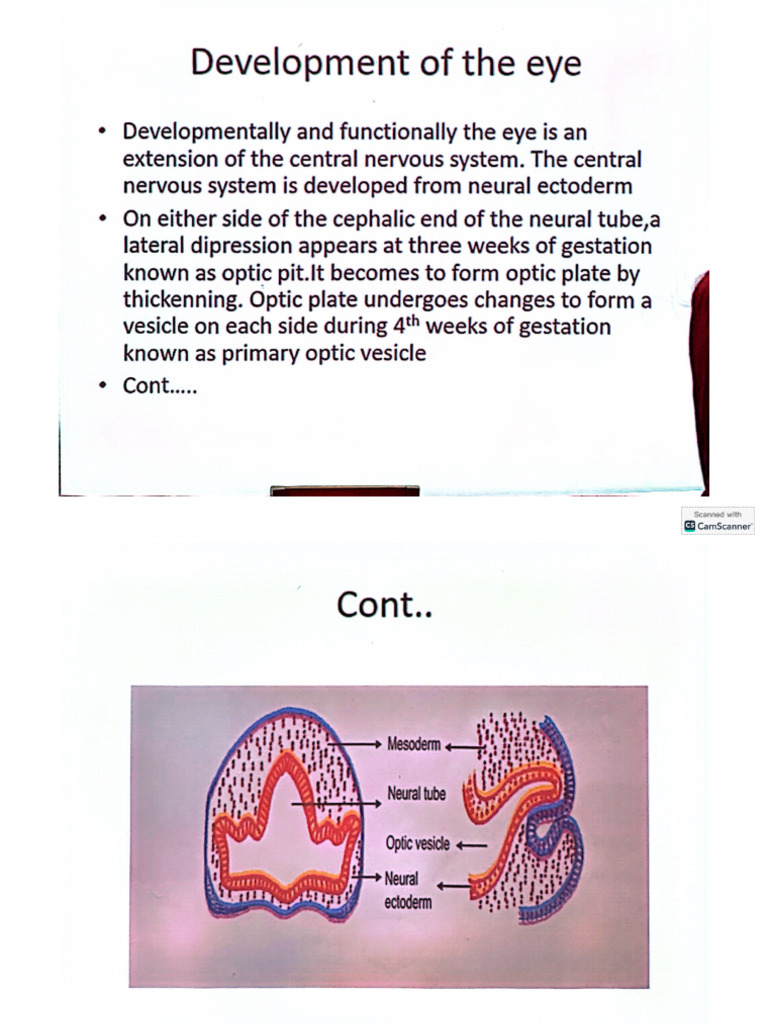 Embryology of Eye (Dr. Bazlur Rashid Sir | PDF
