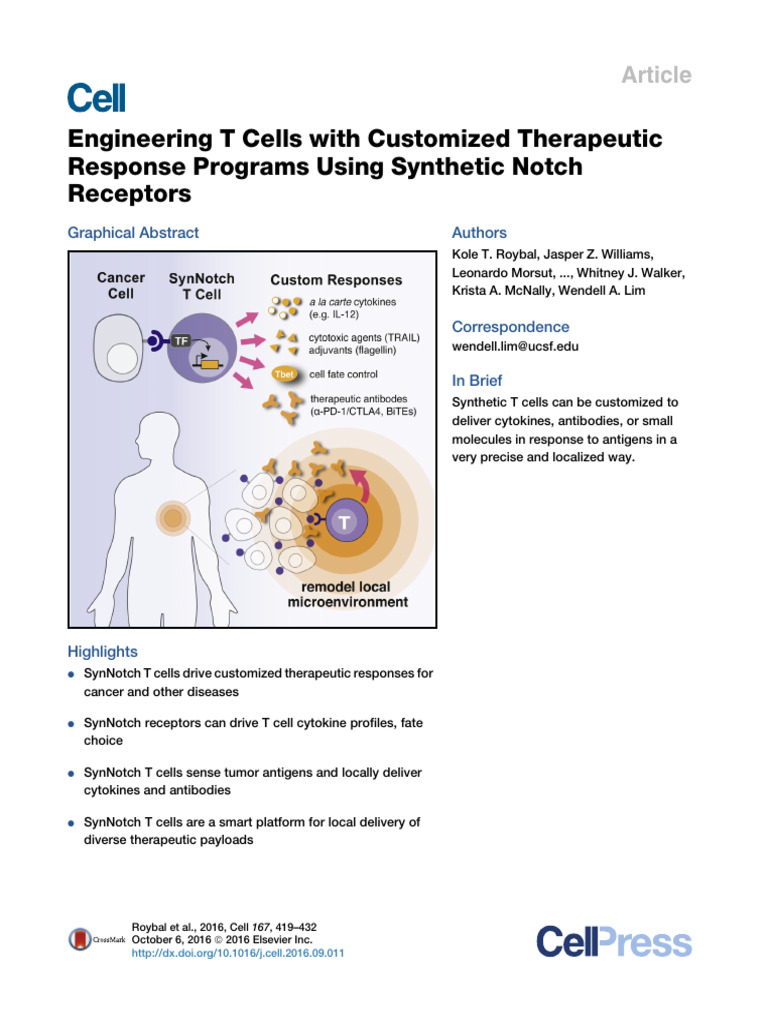 Engineering T Cells With Customized Therapeutic Re | PDF | T Helper ...