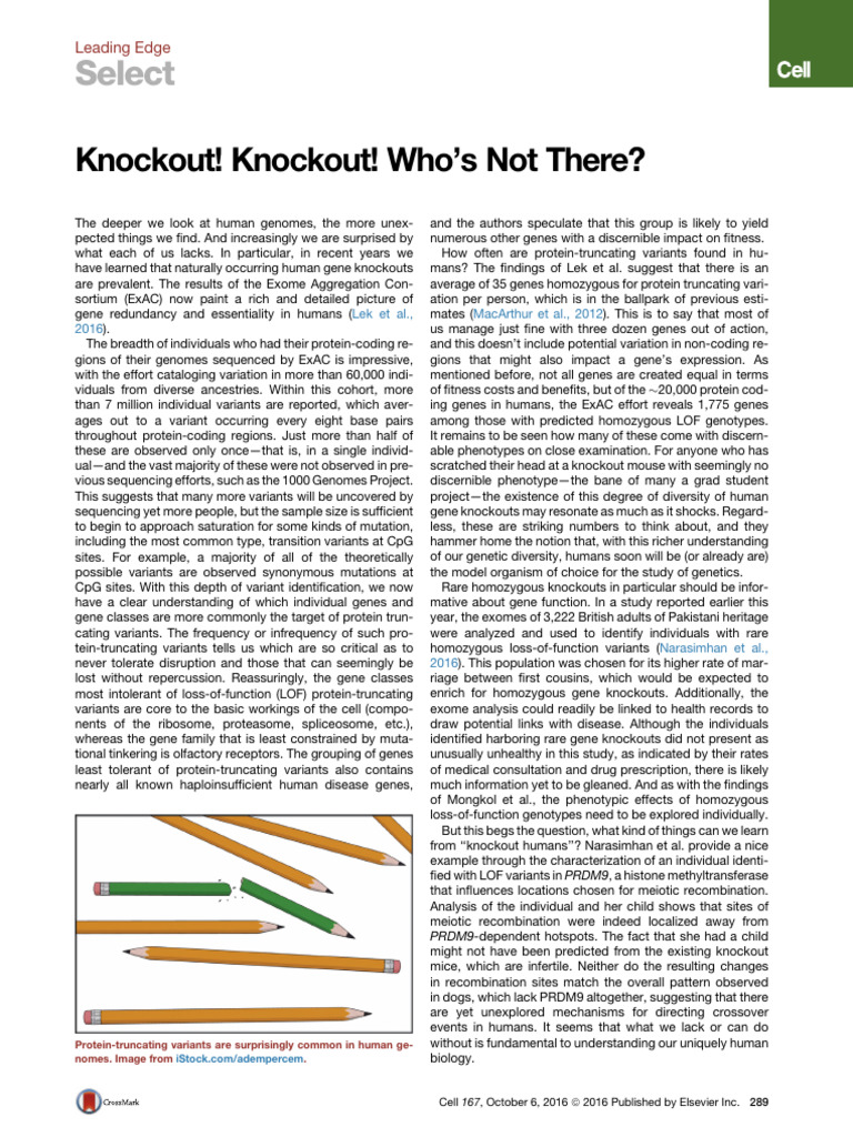 Knockout! Knockout! Who’s Not There Cell | PDF | Gene | Gene Knockout