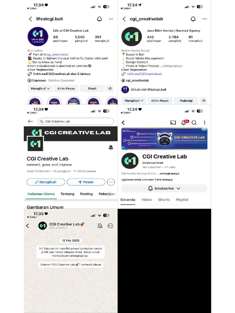 Cgi | PDF
