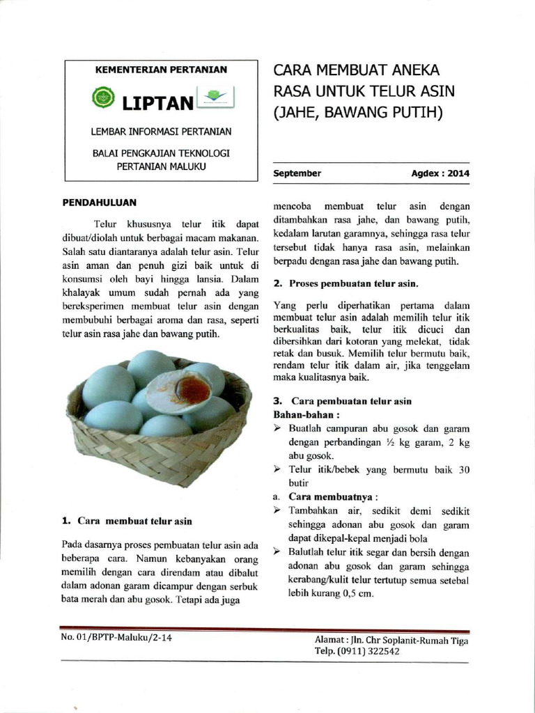 Cara Membuat Telur Asin | PDF