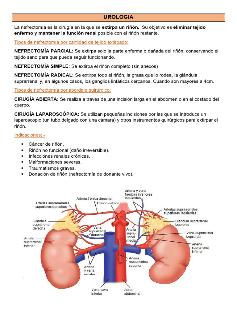 Nefrectomia Radical Laparo | PDF | Cirugía | Abdomen