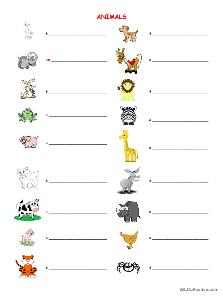 Animals 3 | PDF