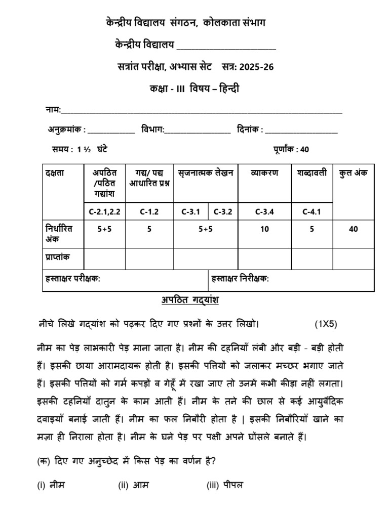 Class III Hindi Practice Set | PDF