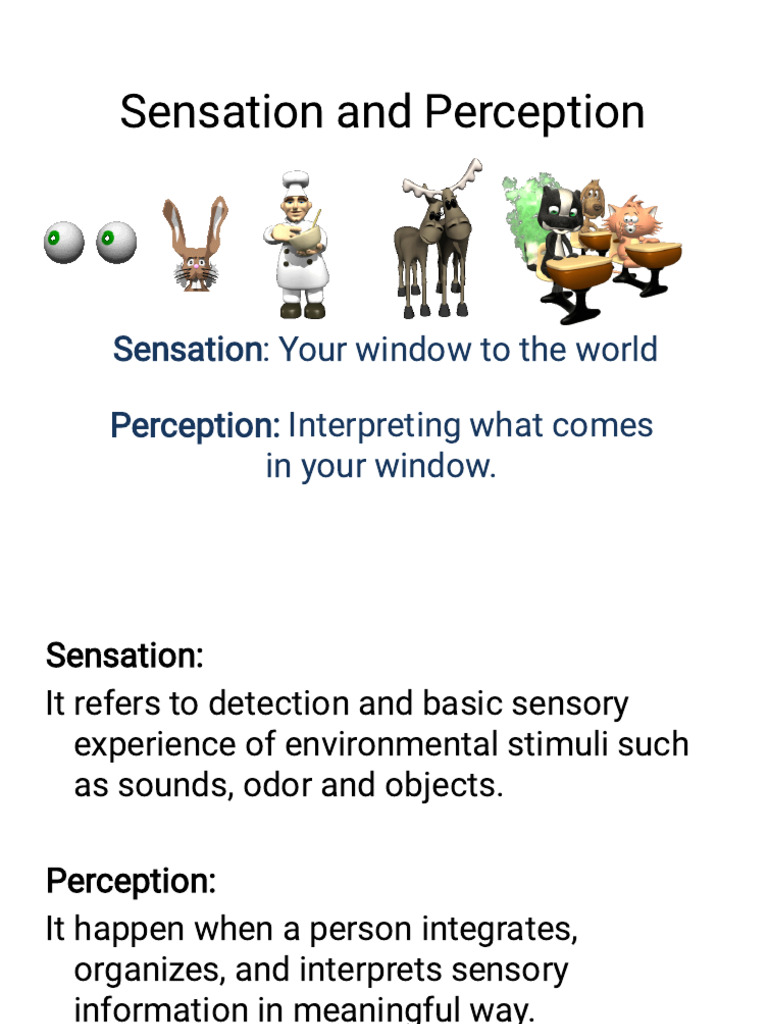 Sensation and Perception (1) | PDF | Senses | Stimulus (Physiology)