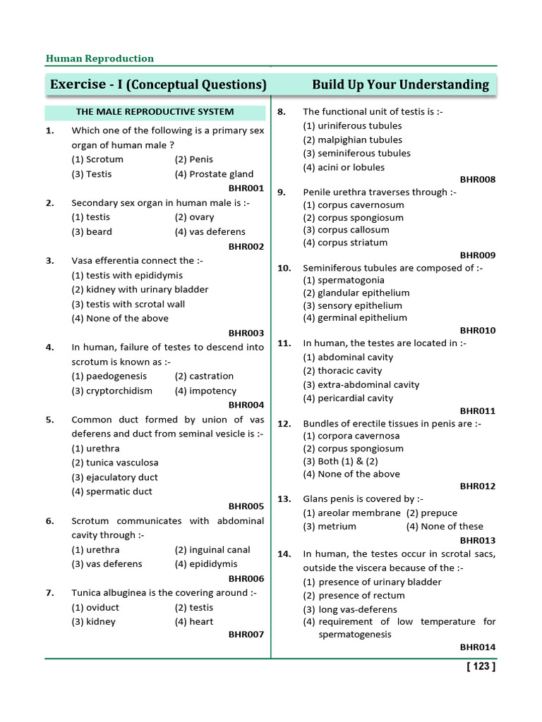 Exercise I-III - Human Reproduction | PDF | Menstrual Cycle ...