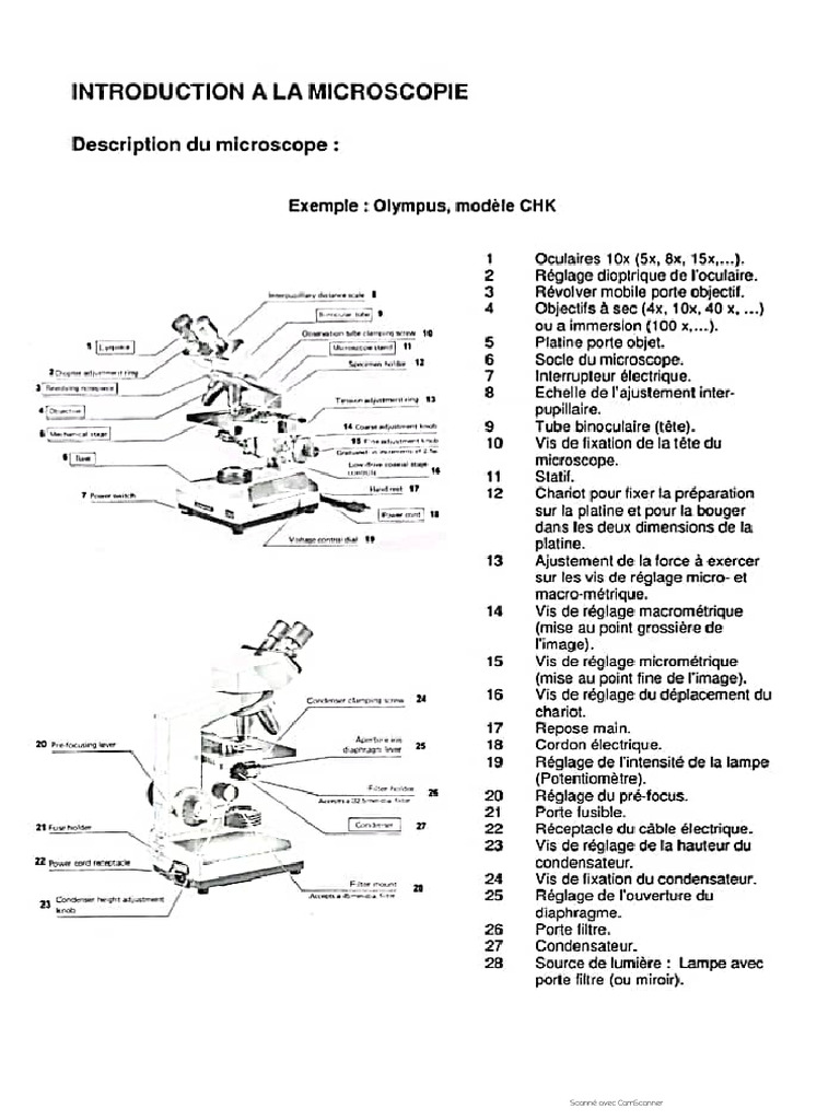 Microscope | PDF