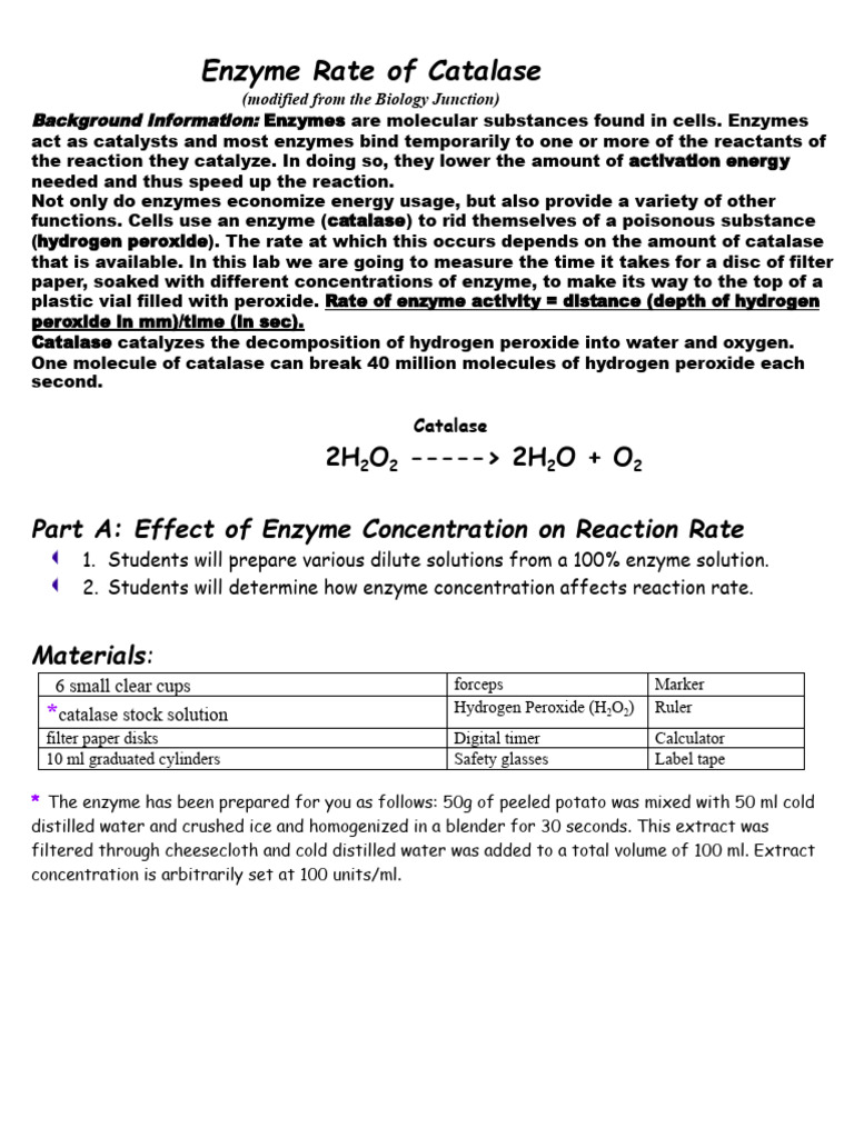 Enzyme Catalysis Lab Handout JH PDF | PDF | Catalysis | Catalase
