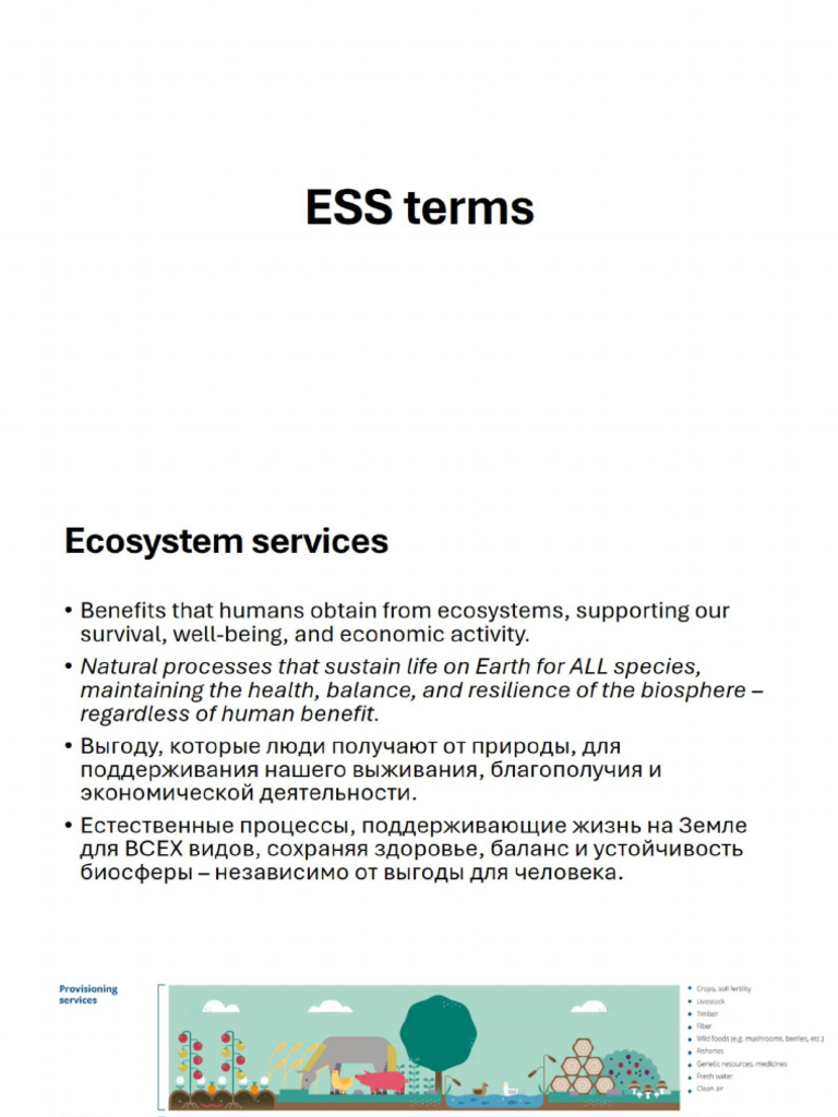 ESS terms1 | PDF