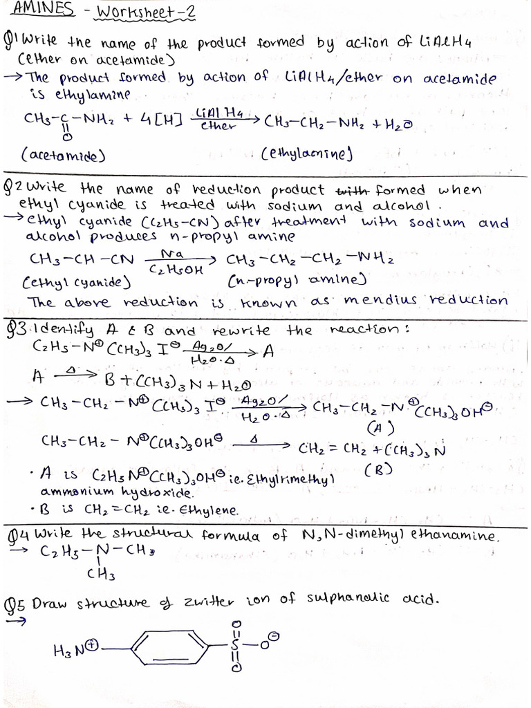 Amines Worksheet - 2 | PDF
