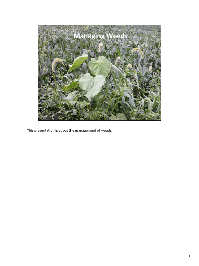 Weed Management | PDF | Herbicide | Weed