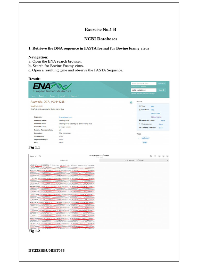 Dy23sbbu0bbt066 Exercise 1b | PDF | Genome | Whole Genome Sequencing