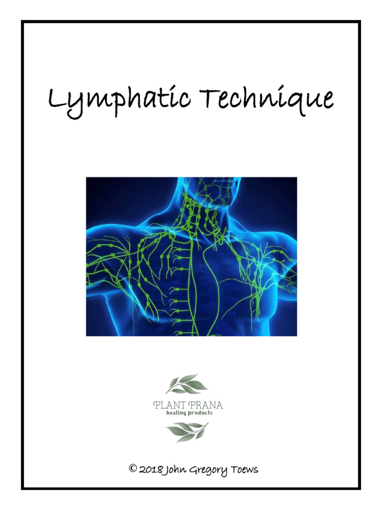 淋巴技術1手冊 Lymphatic Technique Booklet | PDF | Lymphatic System | Medical ...