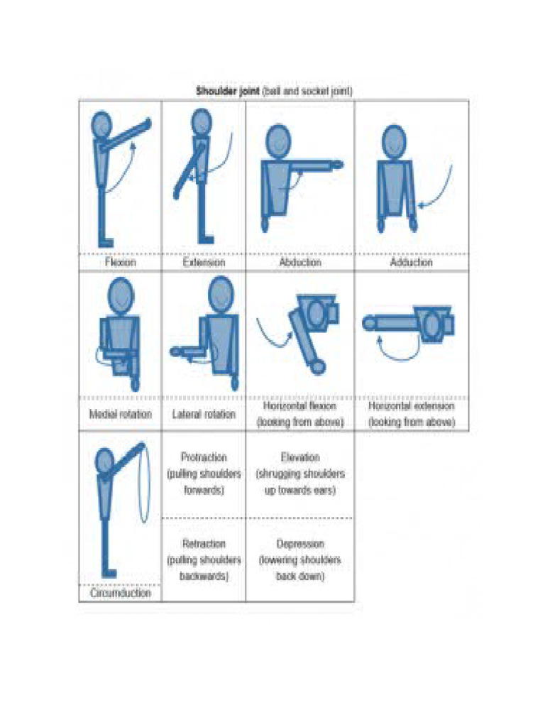 Shoulder Movment | PDF