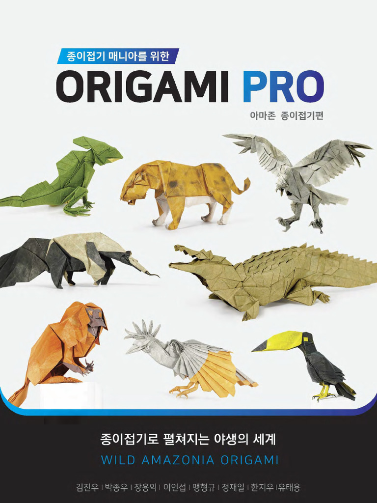 Origami Pro 6 | PDF