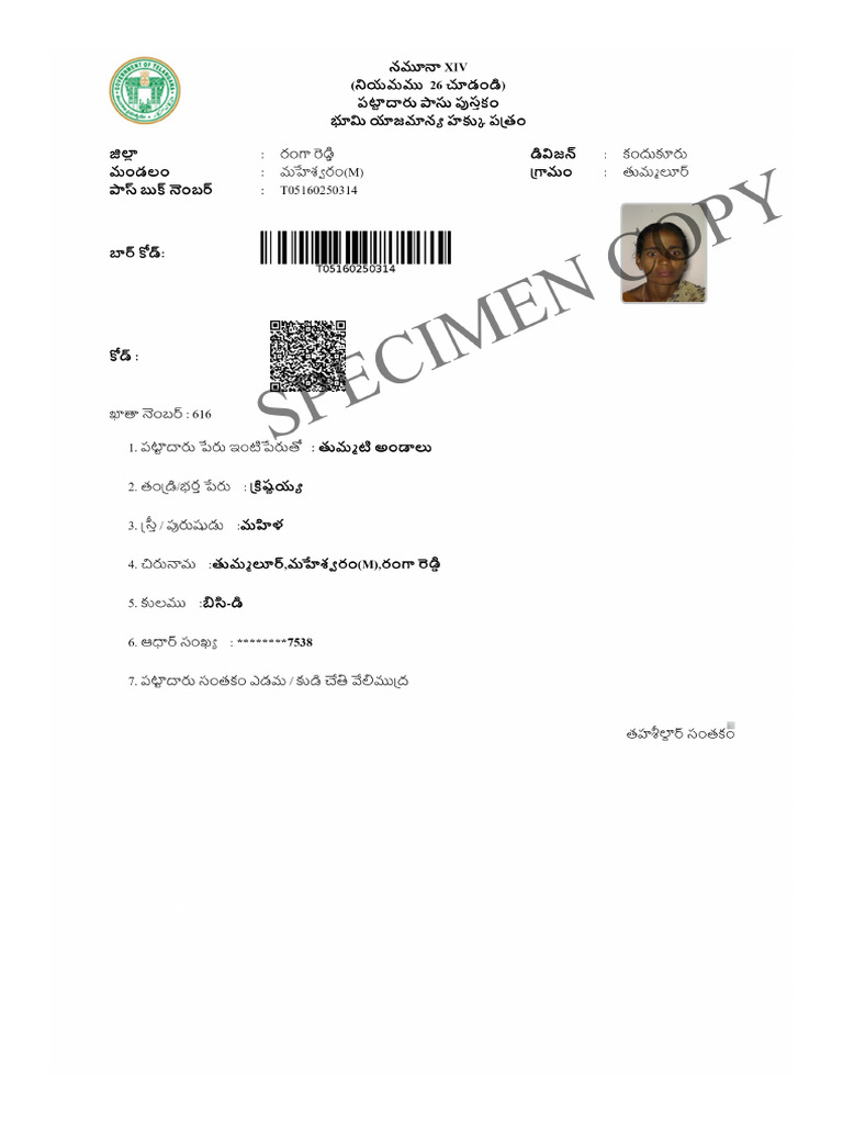 PPBB | PDF