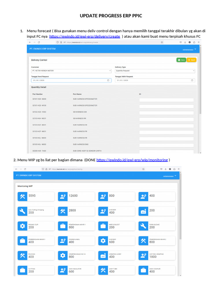 Update Progress Erp Ppic Januari 2025 | PDF