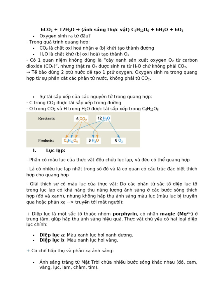6CO2 | PDF