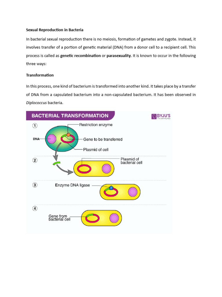 Notes for Sexual Reproduction in Bacteria | PDF