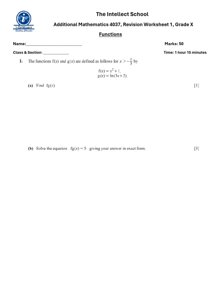 AM Revision Worksheet 1 Functions | PDF