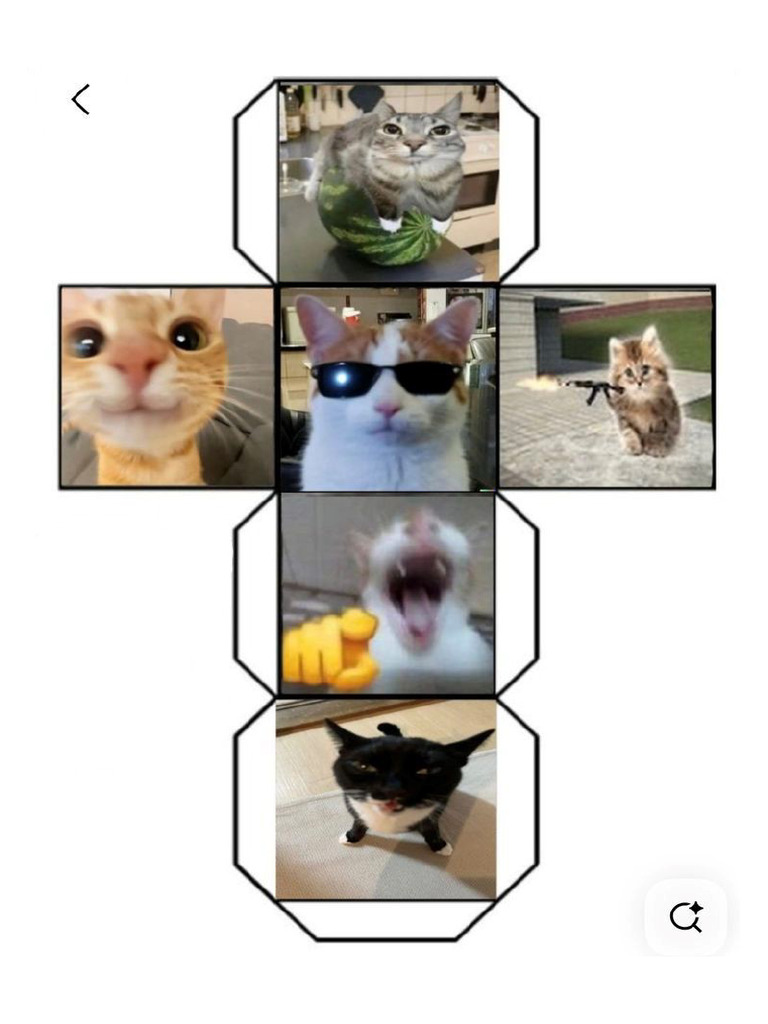 Kot | PDF