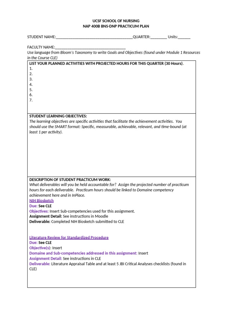 BSN - DNP - Practicum Plan F25 | PDF