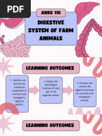 Rabbit Digestive System Anatomy Guide | PDF | Stomach ...