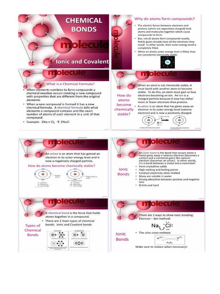 Science Notes | PDF