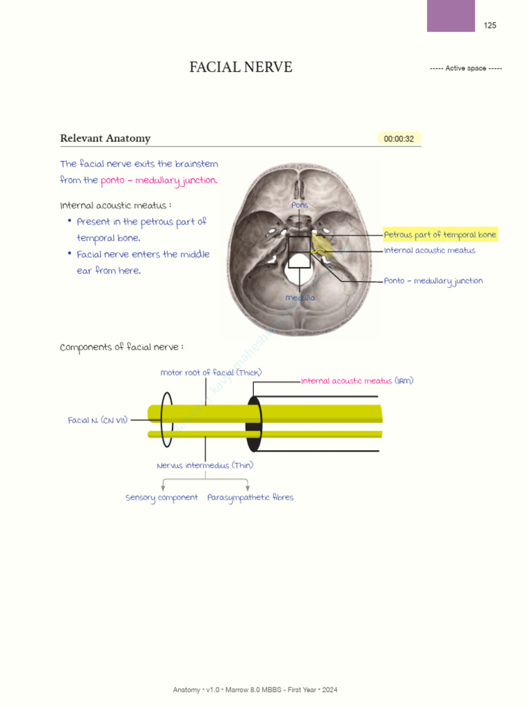 Head and Neck I Studied | PDF | Nervous System | Primate Anatomy