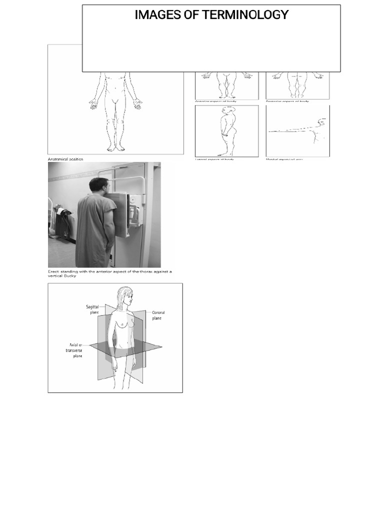 Images of Terminology | PDF