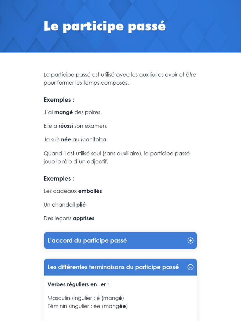 Le Participe Passé - Édition Caractère | PDF
