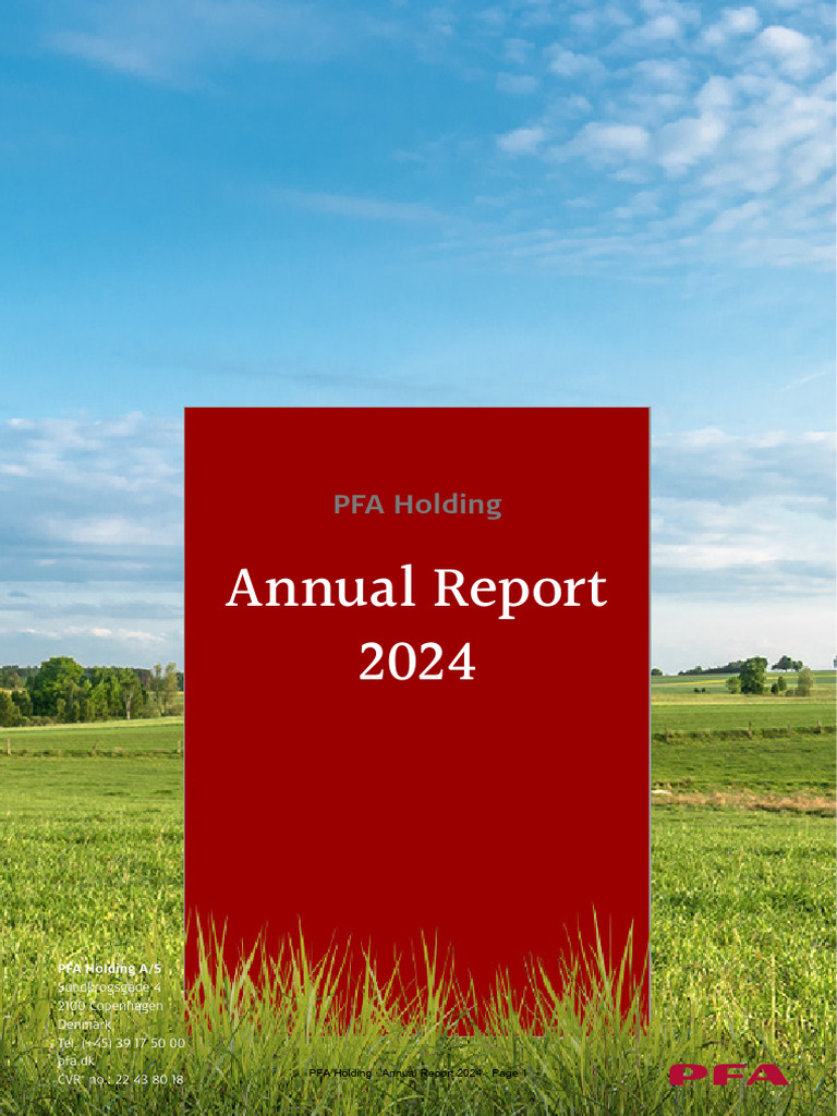 Pfa Holding Annual Report 2024 | PDF | Taxes | Interest