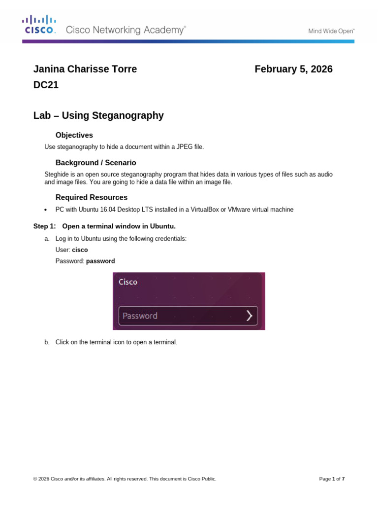 Lab Exercise 4.1 - Using Steganography | PDF | Command Line Interface ...