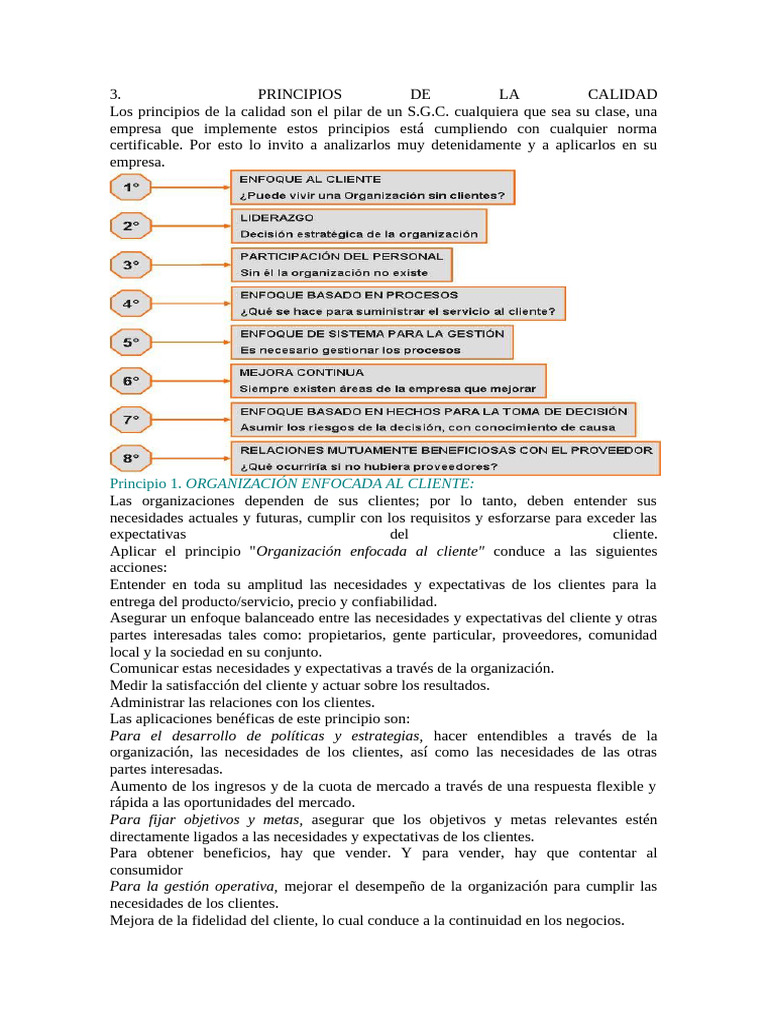 PRINCIPIOS Y NORMA DE CALIDAD ISO 9000 | PDF | Calidad (comercial ...