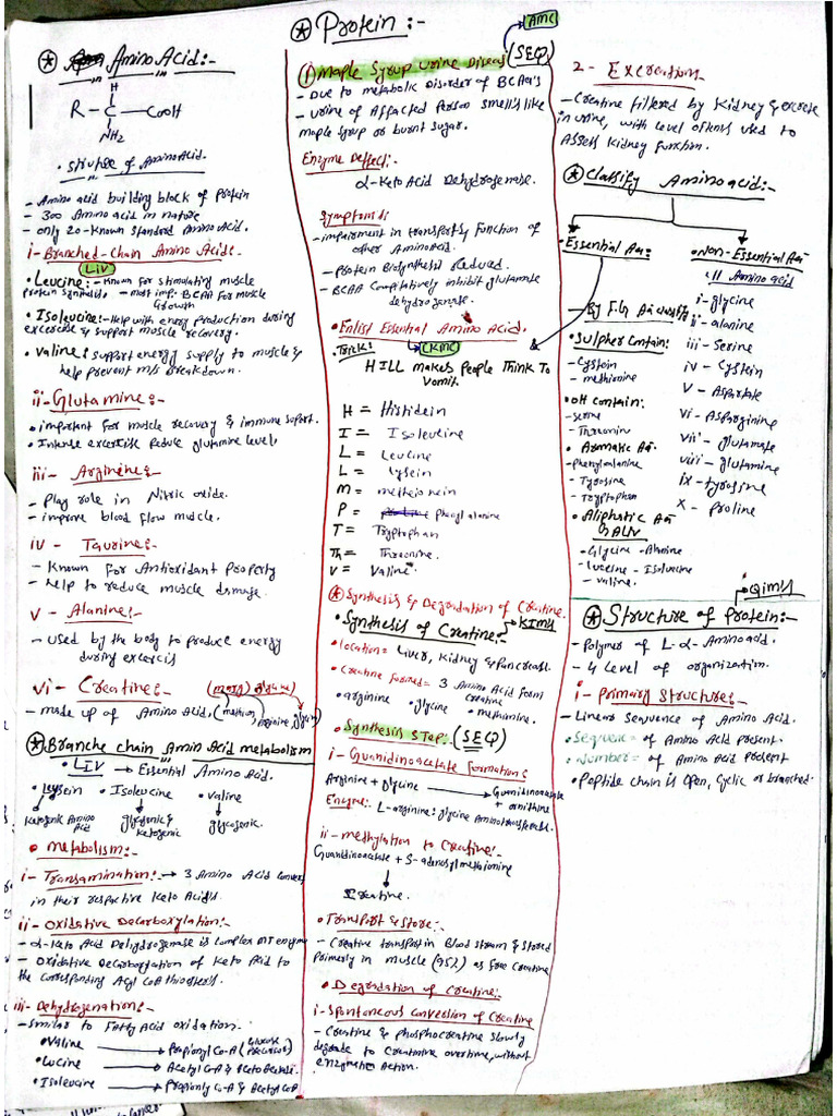 Compelet Protein Notes (DR Faraz Baloch) | PDF