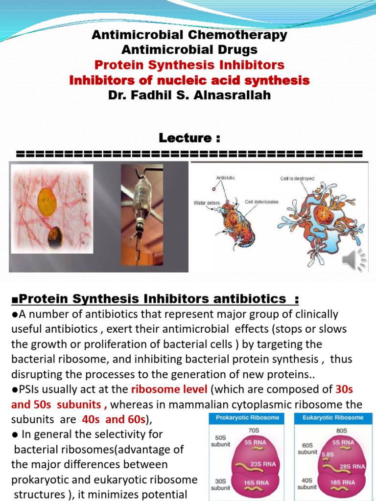 Protein Synthesis Inhibitors Inhibitors of Nucleic Acid Synthesis | PDF ...